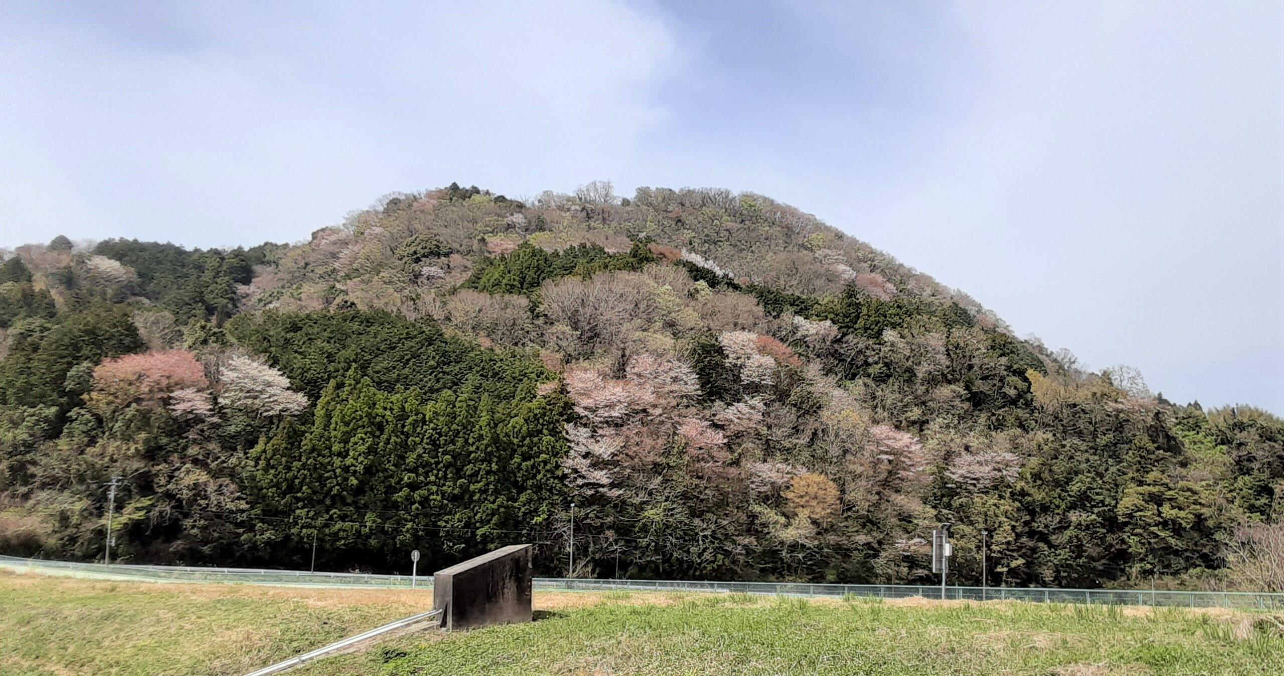 多気町五桂池ふるさと村は子育て世代や動物好き高齢者に人気の場所 Rurublog